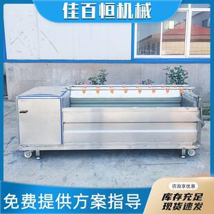 春笋鲜竹笋去清洗机 甜菜魔泥清芋毛辊药洗机根茎类中材JWP去皮机