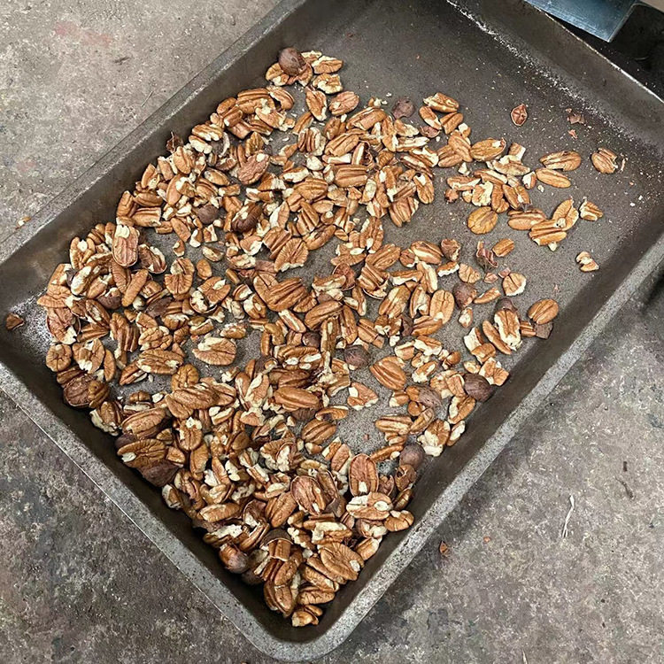 新款核桃去硬壳机干核桃去壳机生产 剥核桃仁机电动核桃扒皮机