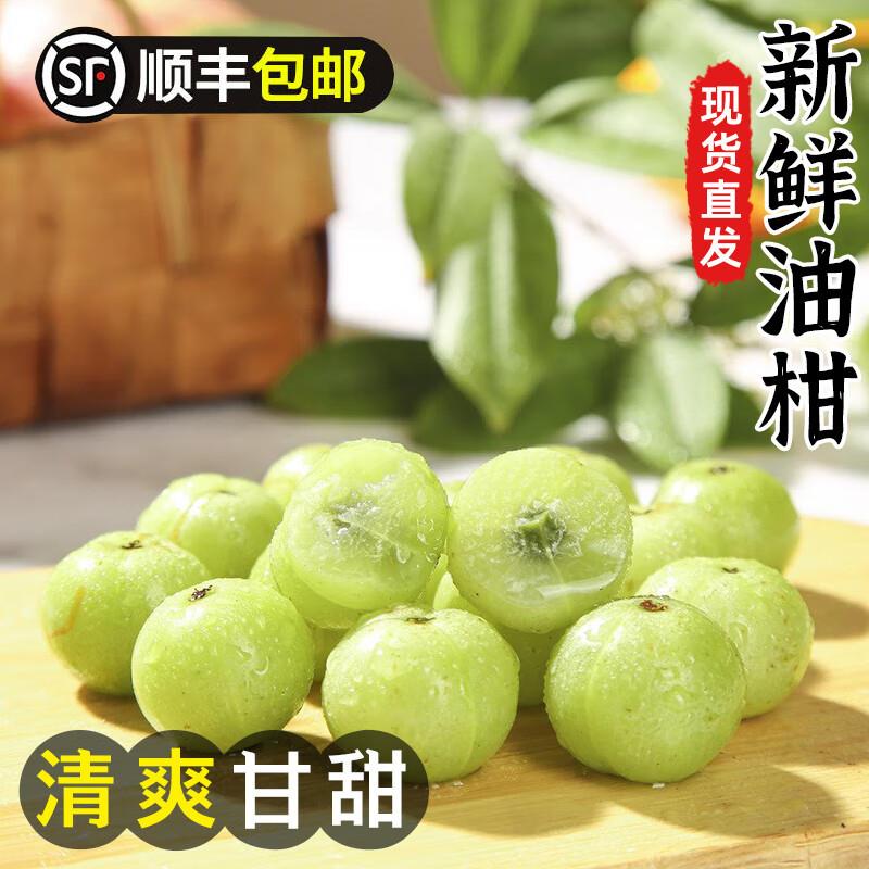 广州江南直发【顺丰】新鲜油甘果余甘果牛甘子油柑果橄榄酸甜