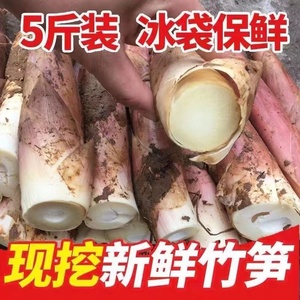 雷笋新鲜冬笋竹笋雷竹笋油焖笋腌笃笋现挖农家野生蔬菜春笋5斤装