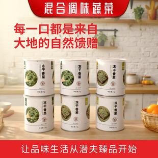 FD冻干小香葱香菜15克大罐装商用天然脱水葱花免切免洗蔬菜干泡面