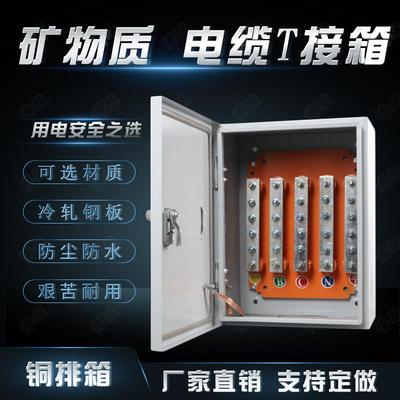 矿物质电缆分支箱低压楼层桥架铜排箱T接箱绝缘接线端子箱转换箱