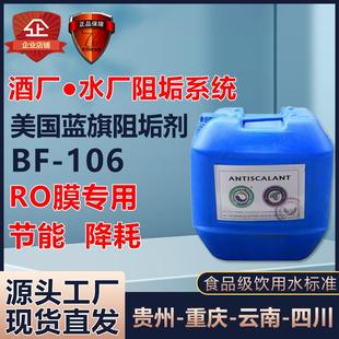 0100工业净水设备RO膜缓蚀除垢清洗剂 蓝旗反渗透阻垢剂食品级BFP