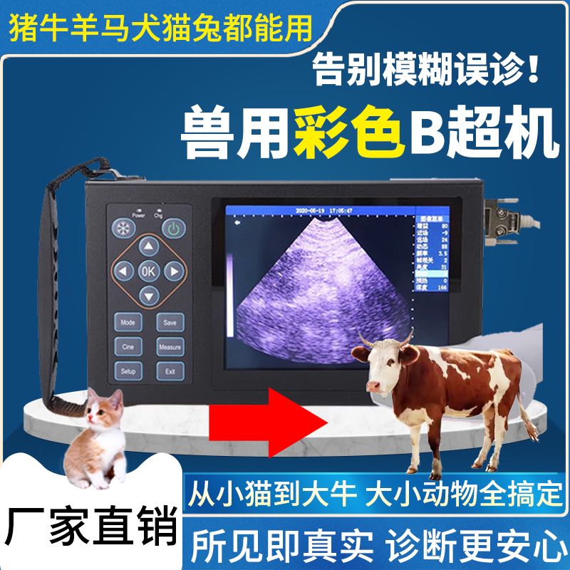 便携式高清b超机母猪牛羊