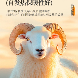女士秋冬打底衫 新款 秋衣秋裤 男士 5A抗菌羊毛蚕丝保暖内衣情侣套装