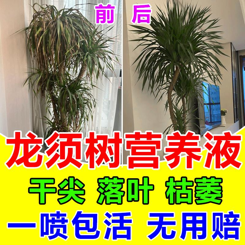 龙血树专用肥料营养液龙须树室内盆栽治黄叶干尖专用型绿植有机肥