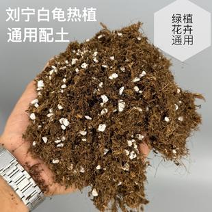 刘宁白龟热植通用型营养土天南星科专用土绿植花卉种植土进口泥炭
