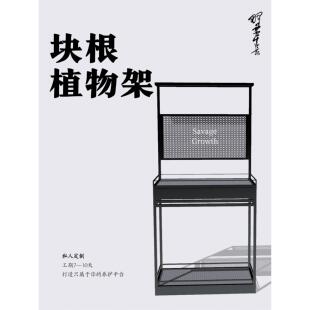 日式块根植物花架灯架置物架多层龙舌兰象足漆树龟甲龙多肉室内