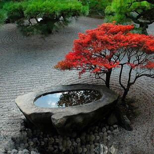 石雕黑山石水钵庭院水池水景户外流水园林新中式石盆异形装饰摆饰