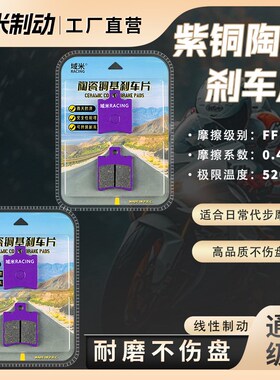 25款极核AE4Mjax AE4ProMY25 电摩 电轻摩 前后刹车片碟刹皮配件