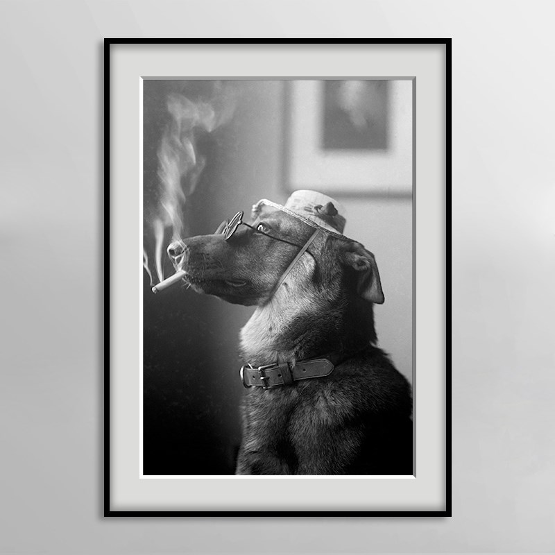 卧室床头挂画儿童房狗狗萌宠动物C壁画黑白摄影装饰画酒吧复古墙图片