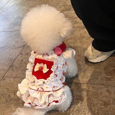 猫咪狗狗衣服宠物春公尔主迪马济斯狗RHR狗小型夏子新裙款