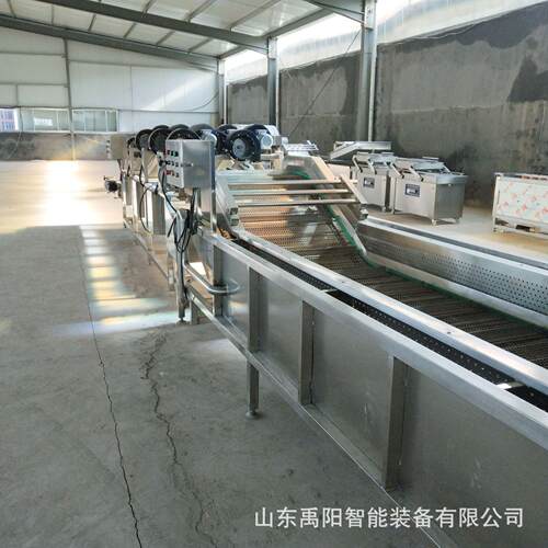 厂家供应全套净菜加工设备 白菜清洗设备 多功能气浪喷淋清洗设备