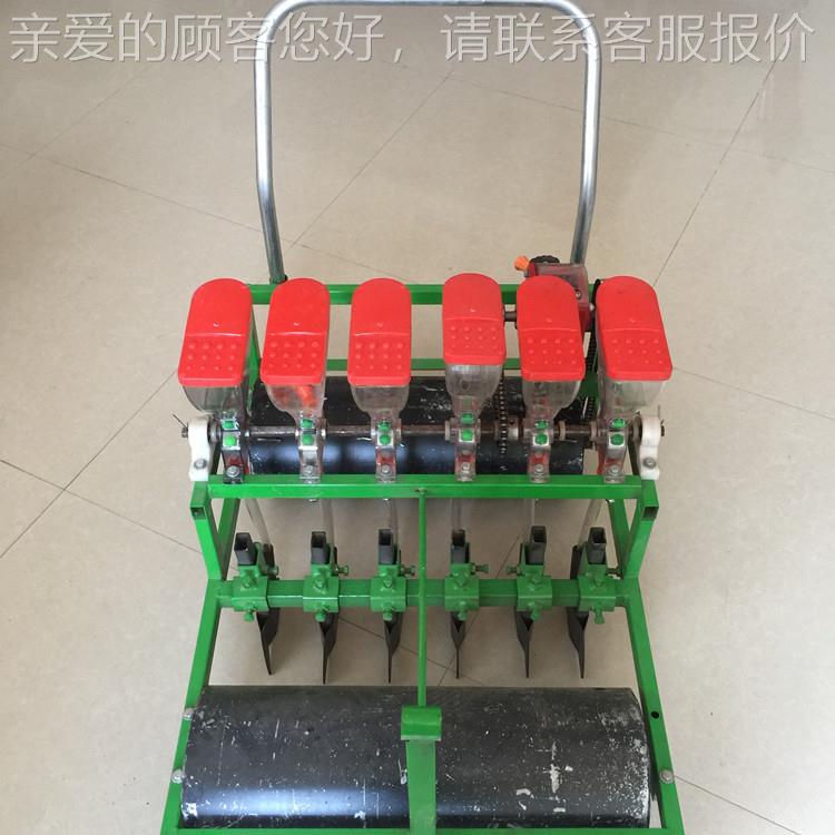 人小粒种子精播机 家菜用小力IEC型芹播菜种机 油白播种设备