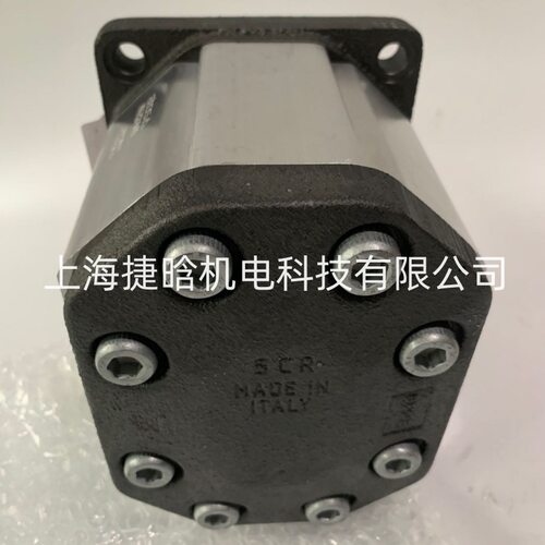 意大利ATOS电厂用齿轮泵