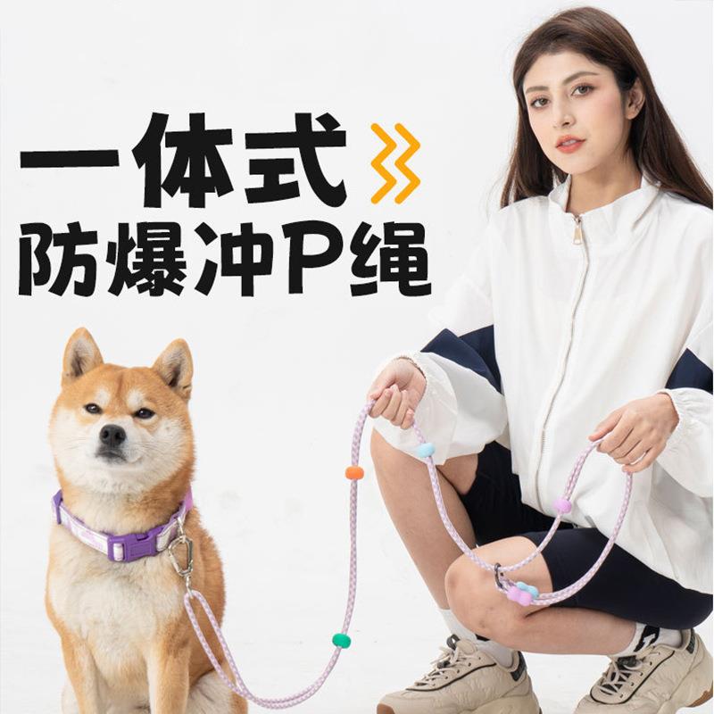 宠物牵引绳双段式多功能防挣脱P绳中型大型犬金毛外出遛狗绳项圈