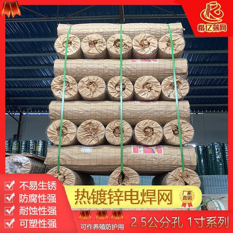 电焊网家用养殖铁丝网建筑外墙保温抹墙网镀锌电焊网地暖桥梁网片