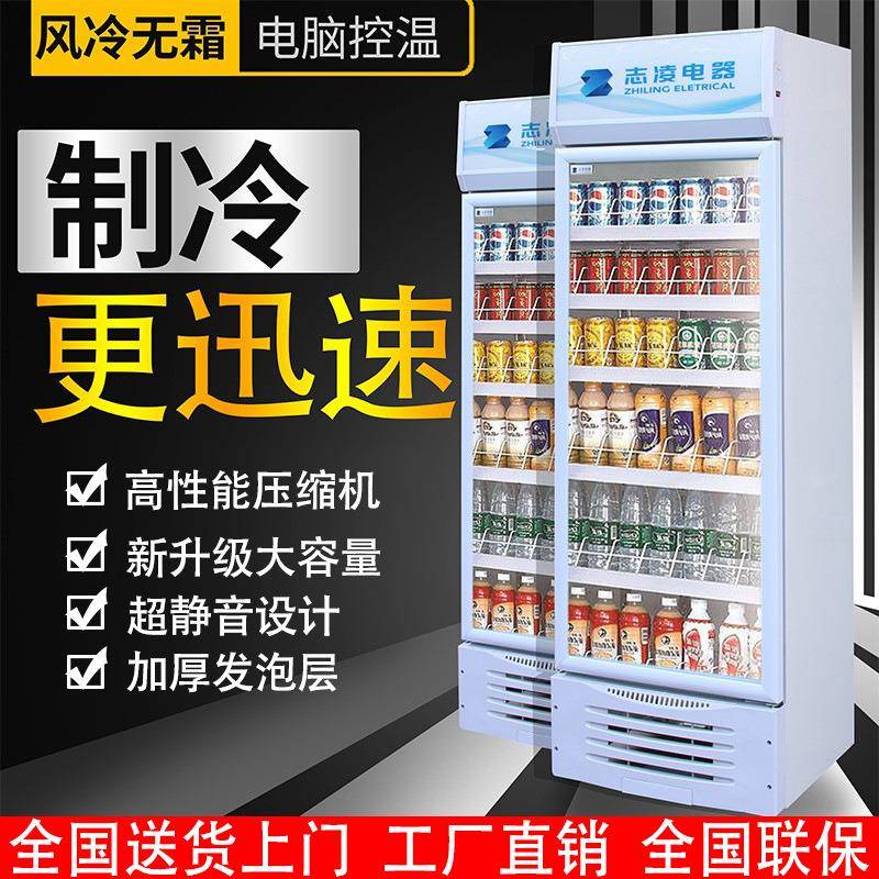 饮料啤酒柜商用立单门冷鲜藏展示式柜水果蔬菜开门保双柜826超市