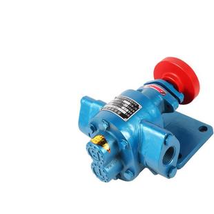 式 小型机油齿泵头自吸高压齿轮油轮泵CSC豆Y渣 高温齿轮油泵头ZB