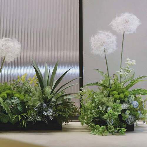 小型仿真植物景观蕨类把束植物手感假花室内景观角落橱窗造景装饰