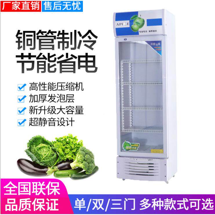 式啤酒立柜藏柜商冷用料柜保鲜柜饮柜双门冰TYV柜冰箱超商展示柜