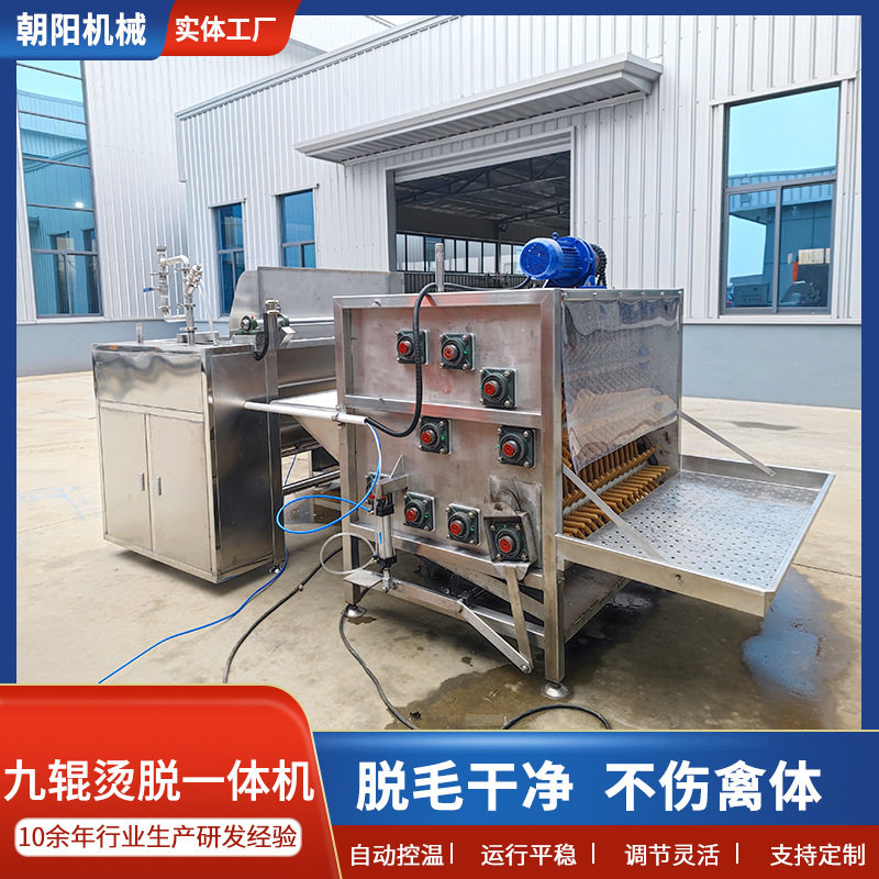 商用家禽烫脱一体机全自动鸡鸭脱毛设备宰鸡浸烫打毛不锈钢脱毛机
