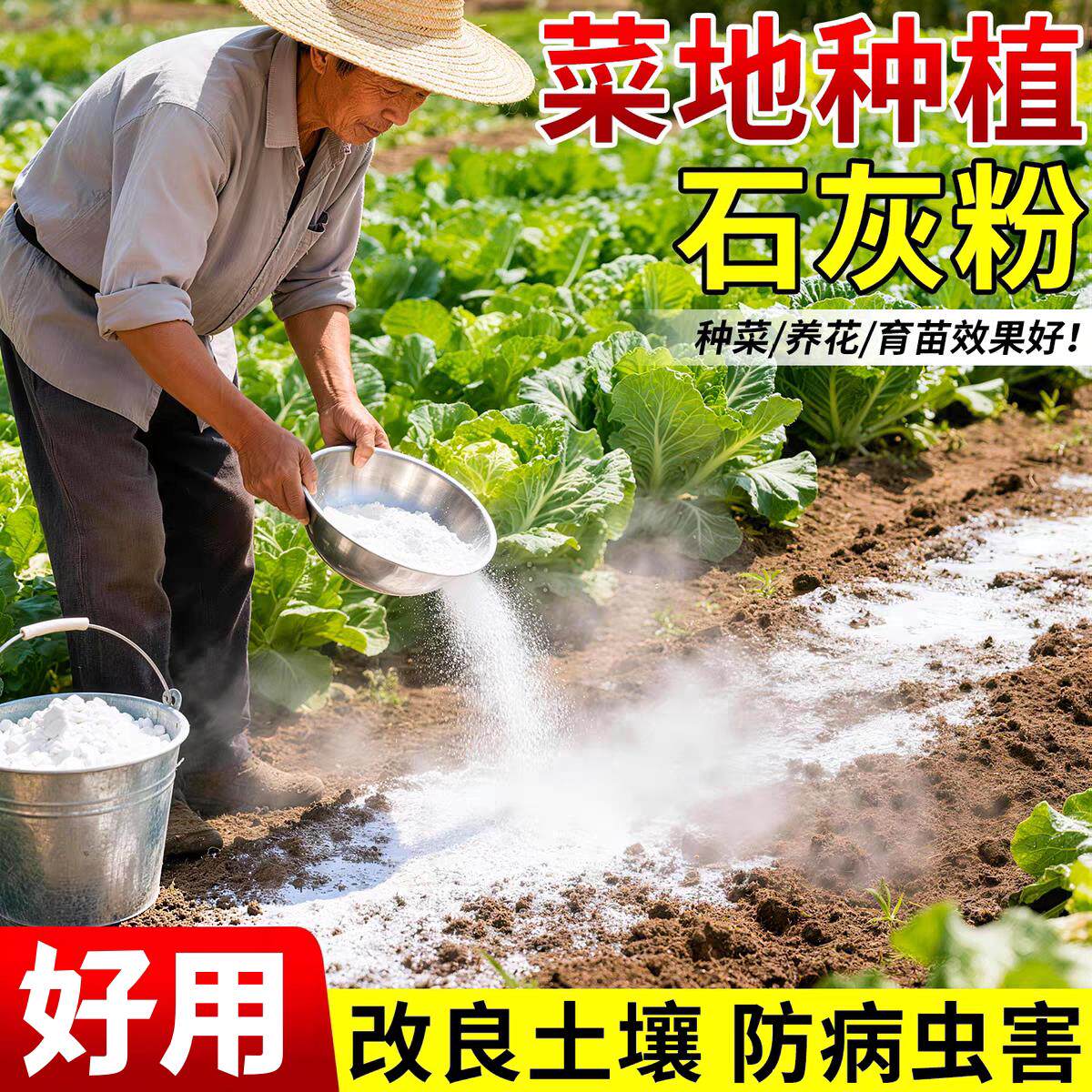 石灰粉种菜消毒防潮除湿