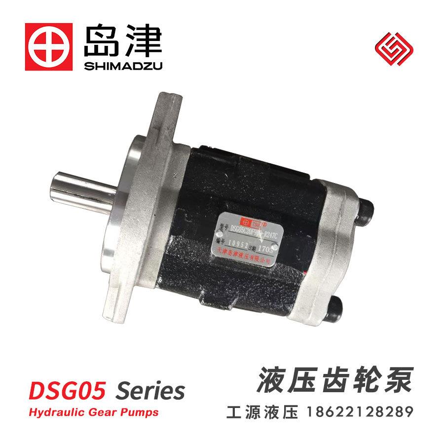 DSG05系列电瓶叉车液压齿轮双联泵结构非对称齿形泵