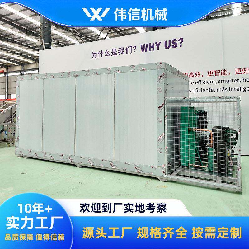 200kg双车速冻柜急速冷冻柜双开门竹笋冬笋速冻机
