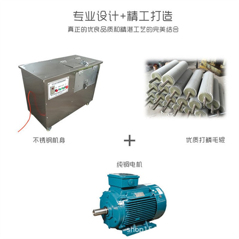 1800型脱鱼鳞机 卧式刮鱼鳞机J 淡水鱼加工脱鱼鳞机