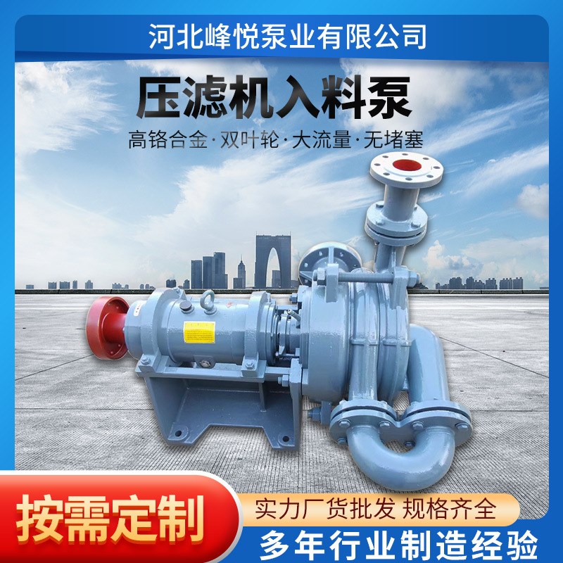 压滤机专用入料泵50SYA65-15入料加压杂质泵ZJW高V扬程泥浆抽沙泵