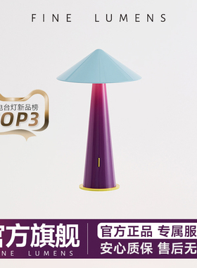 Tipsy小斗笠灯氛围台灯轻奢高级充电床头小夜灯蘑菇灯FineLumens