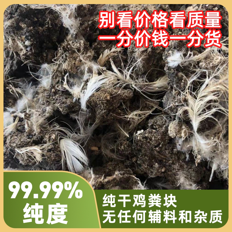 全国包邮优质纯干鸡粪块