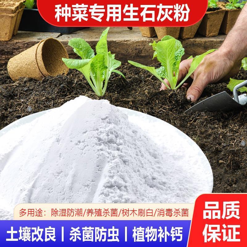 生石灰种菜专用杀虫石灰粉干燥剂除湿家用鱼塘消毒白灰粉土壤改良