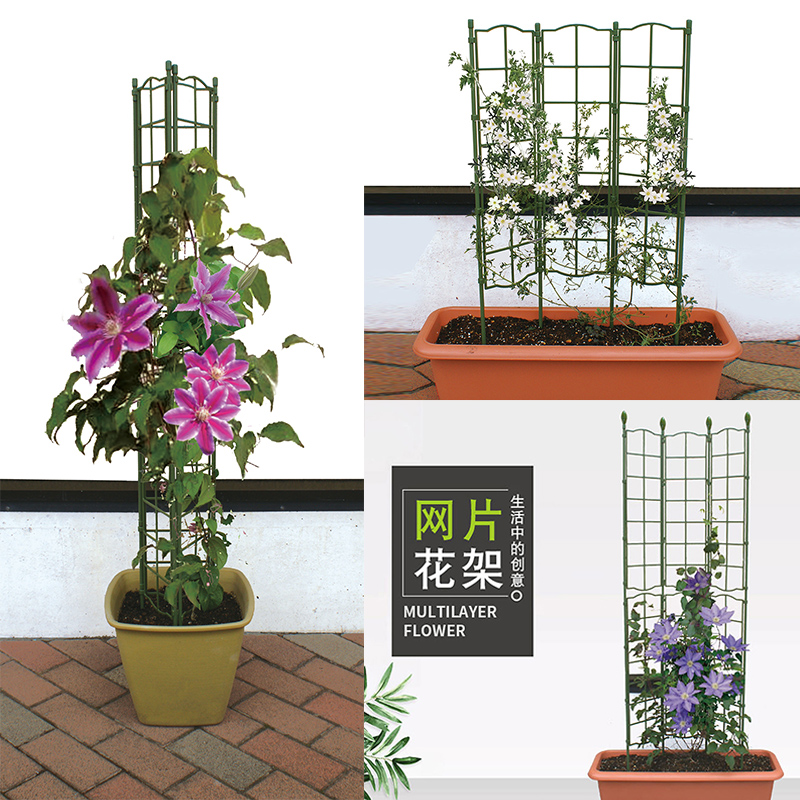 海蒂的花园园之助可拆卸爬藤架盆栽地栽花卉植物攀爬支撑网片花架