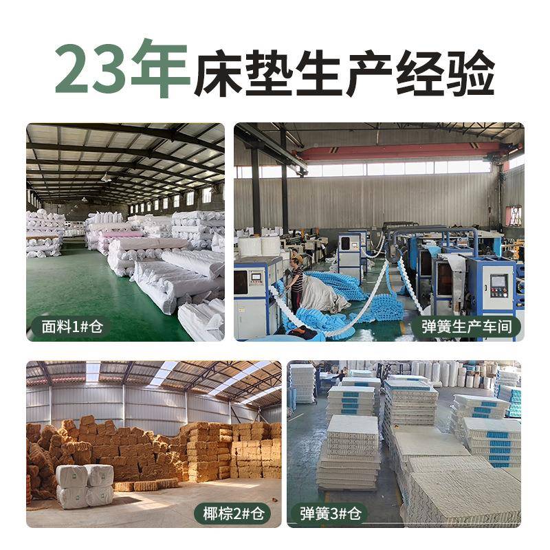 椰棕床垫环保双人垫1用.8偏硬护脊棕1.5加厚棕榈米经济PNJ家折叠