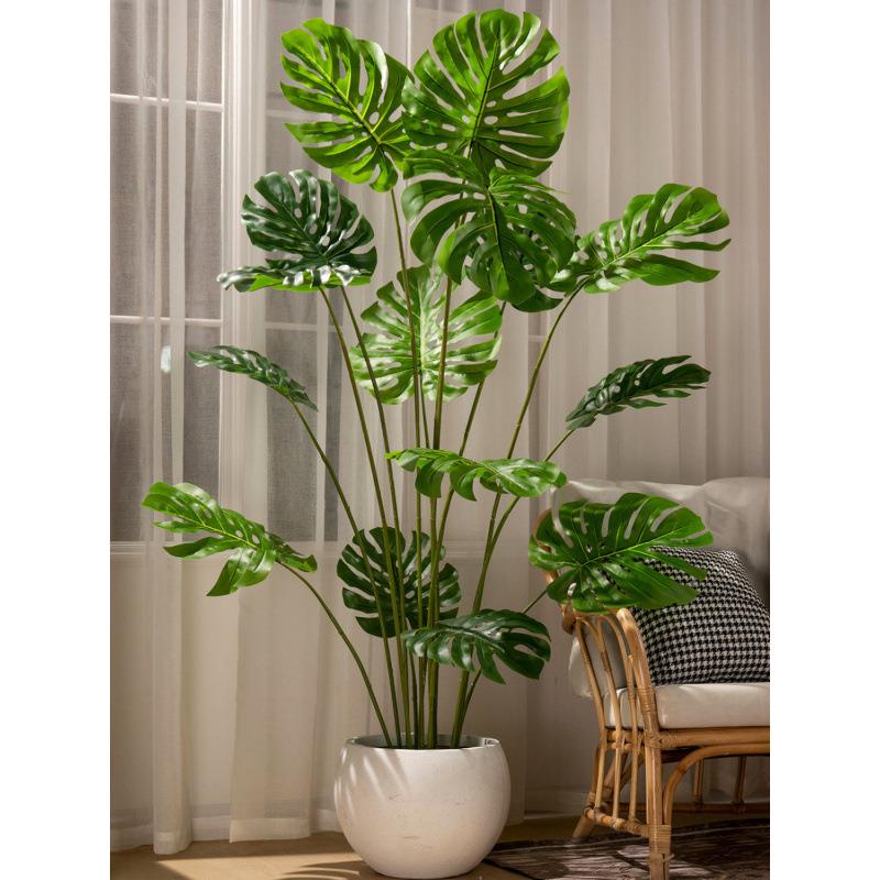 绿植背竹橡散尾葵蓝花楹南胡之阳工天竹胶榕室内盆假树龟假花栽厂