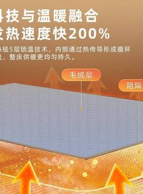 双褥双控电热毯智能定时加人厚除螨大DLE单人家用高档毯子舍宿电