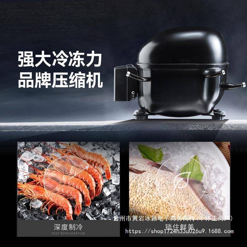 台式冷藏烧展示TPK动柜三轮车移摆摊冷柜菜炸串烤商凉用必须冰柜