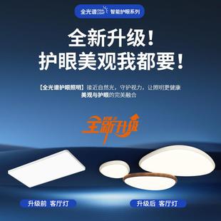卵客厅灯大石厅主灯20代25新款 鹅吸顶灯现简约卧室灯中山灯FOL具