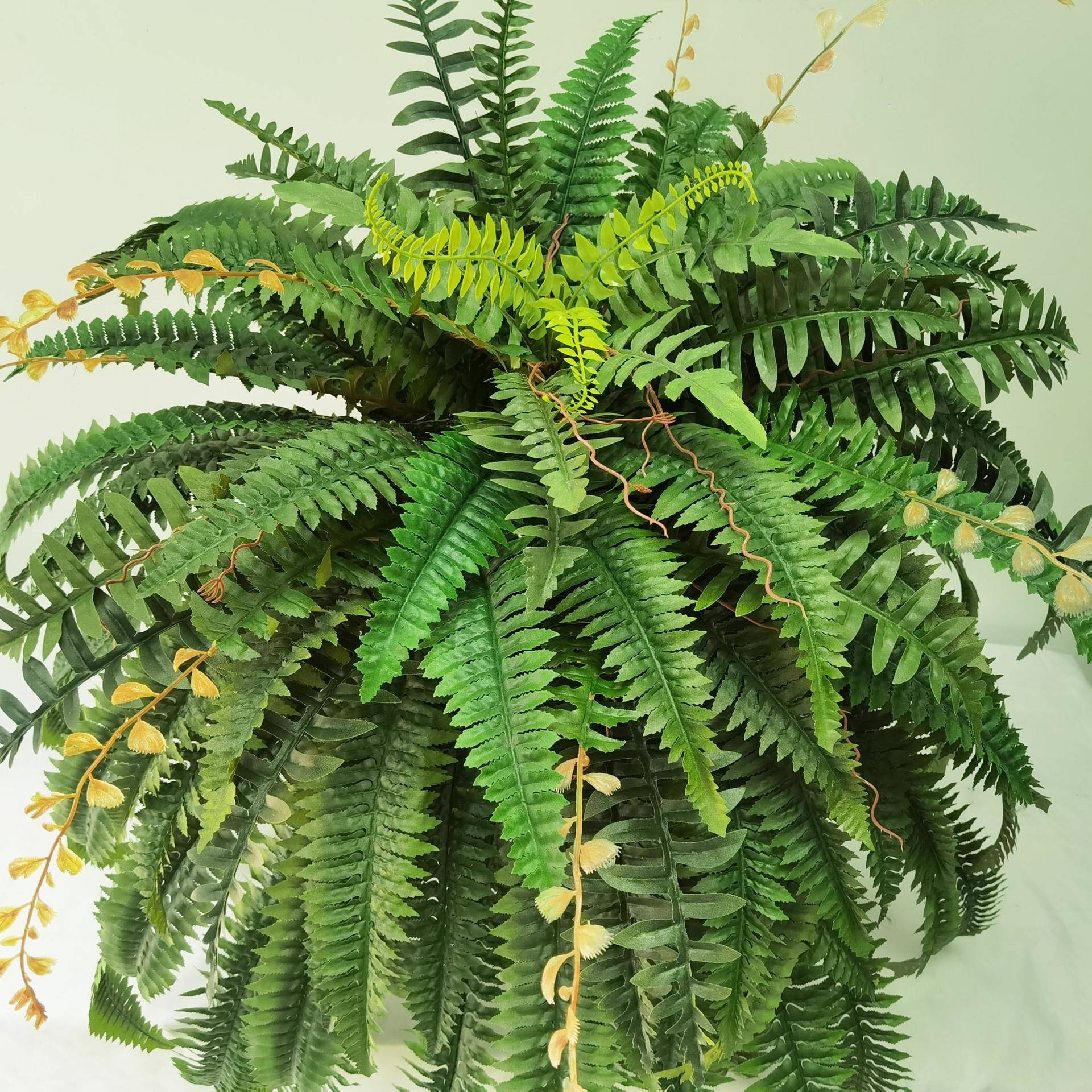 大仿真蕨类植型物盆波斯客厅006CV210室内装饰栽绿植人造尖尾草波