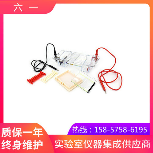 北京六一DYCP-31CN型琼脂糖水平电泳仪(小号)