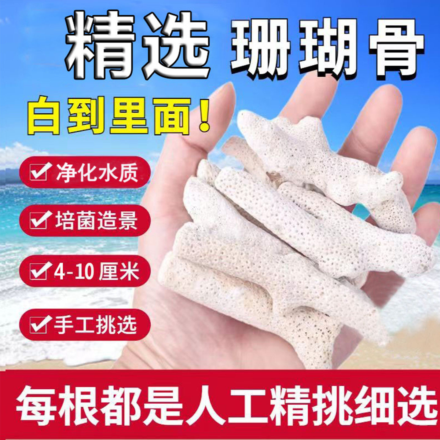 天然珊瑚骨滤材生态净化图片