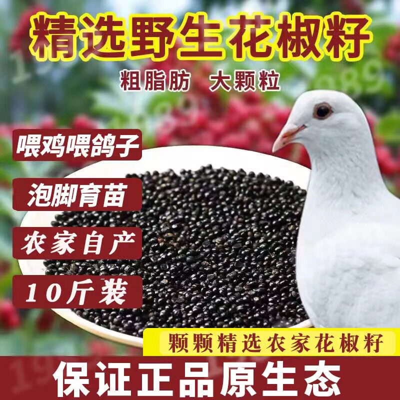 2025年新花椒籽喂信鸽专用花椒籽鸽粮喂鸡饲料大红袍育苗种子食用