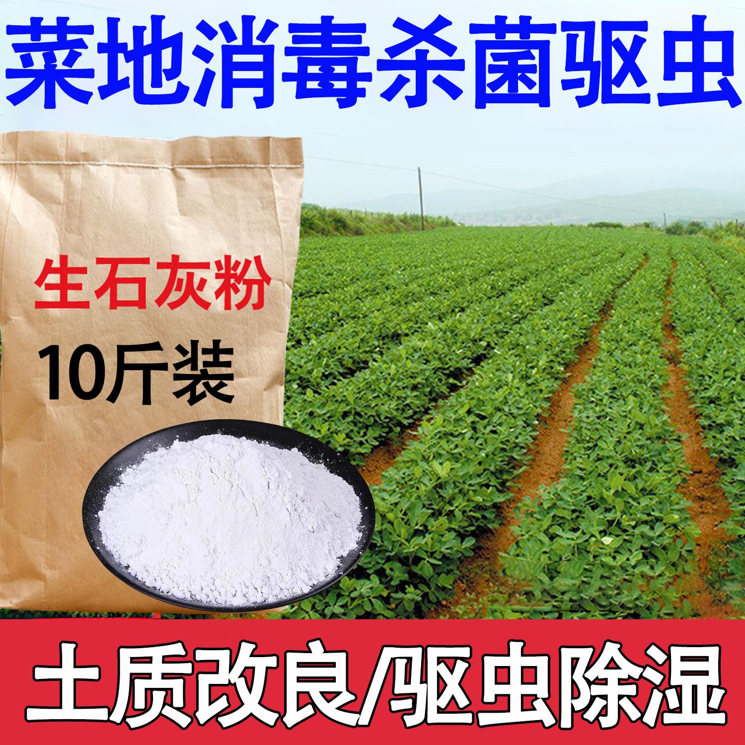 高纯生石灰粉除湿防潮刷墙种菜