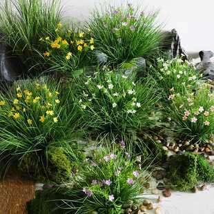 仿真蒲草家居装饰仿真绿植插花塑料摆件草团草堆室内地面橱窗造景