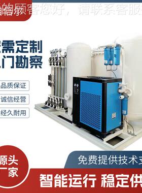 大型工业制氧机厂家高原纯氧机高浓度工业燃水助产殖AZ-10SAP制氧