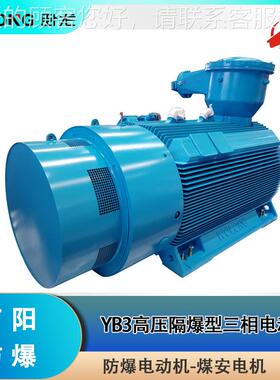 南阳防爆-三级能效高压24265防爆电YB3V-4002/机355W 10 BT4CT4煤