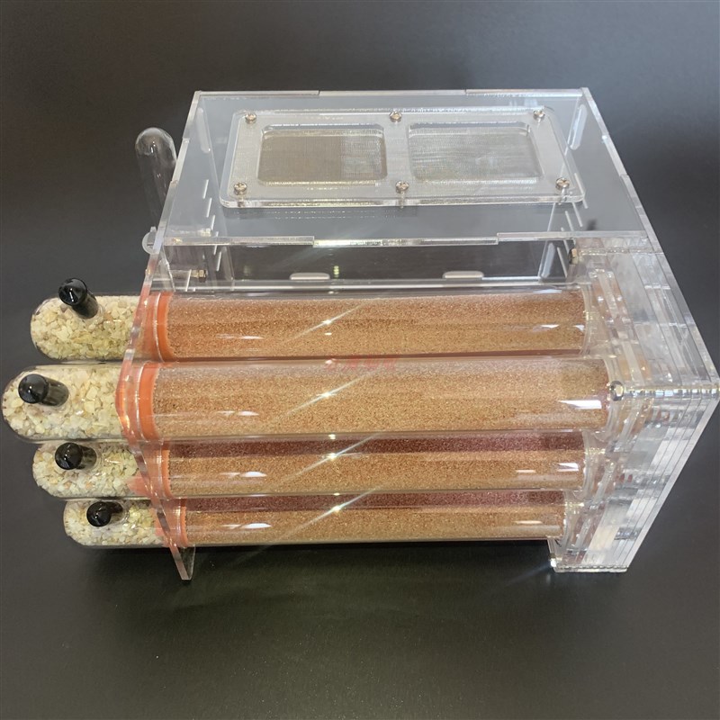 25口径6试管巢  大蚁道 大尺寸 大活动区625狂魔蚂蚁竹节巢