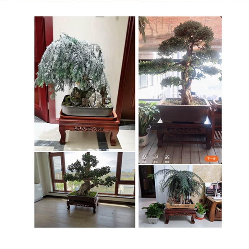 盆景架 实木盆栽架花架卧室花盆架实木客厅假山盆景底座架实木